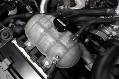 FP Billet Coolant Cap - Black installed