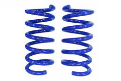 Steeda Mustang GT MagneRide Rear Drag Springs Linear