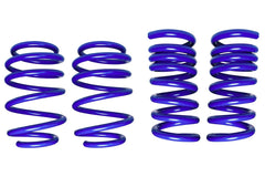 Steeda Mustang MagneRide Dual Rate Ultimate Handling Lowering Springs