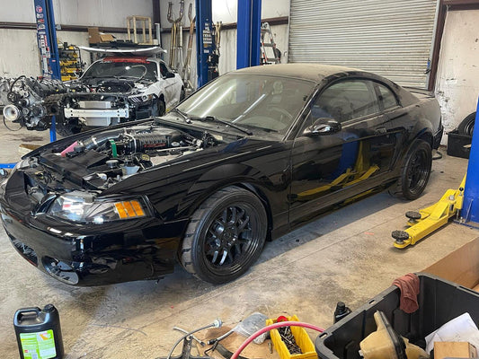 Steve's 99 Cobra turned 03-04 Cobra