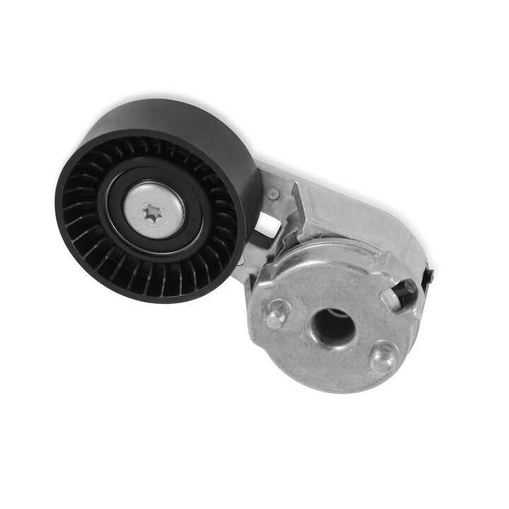 Tensioner Assembly W/ Smooth Pulley Holley