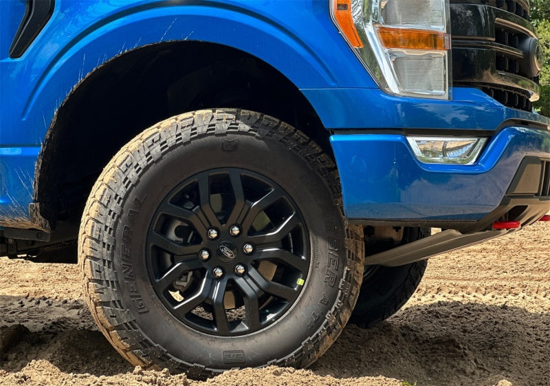 Photo - Mounted