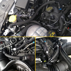 Plug N Play™ Clean Side Separator (fits 16-20 Mustang GT350) UPR