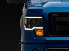 Photo - Close Up
