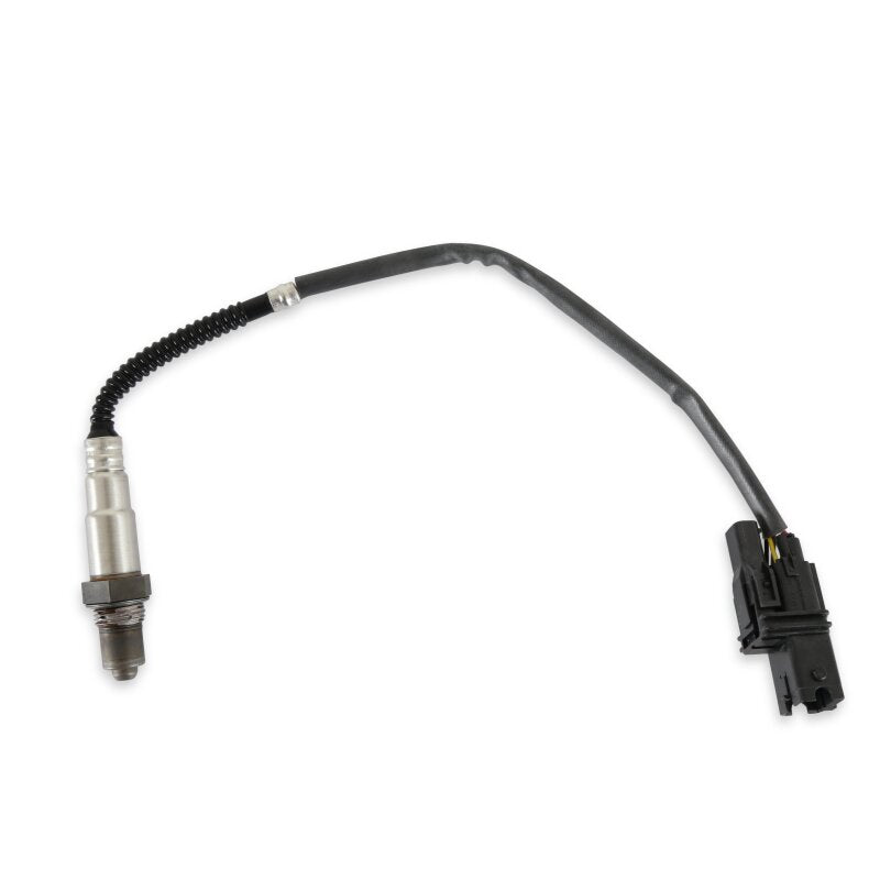 Photo - Primary