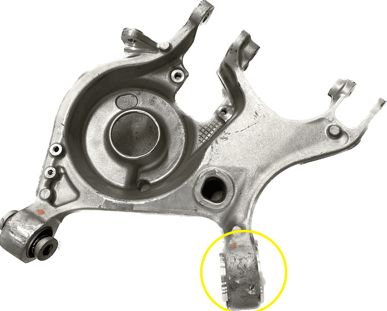 Rear Lower Control Arm Bearing Kit (fits 15-24 Mustang S550 S650) UPR