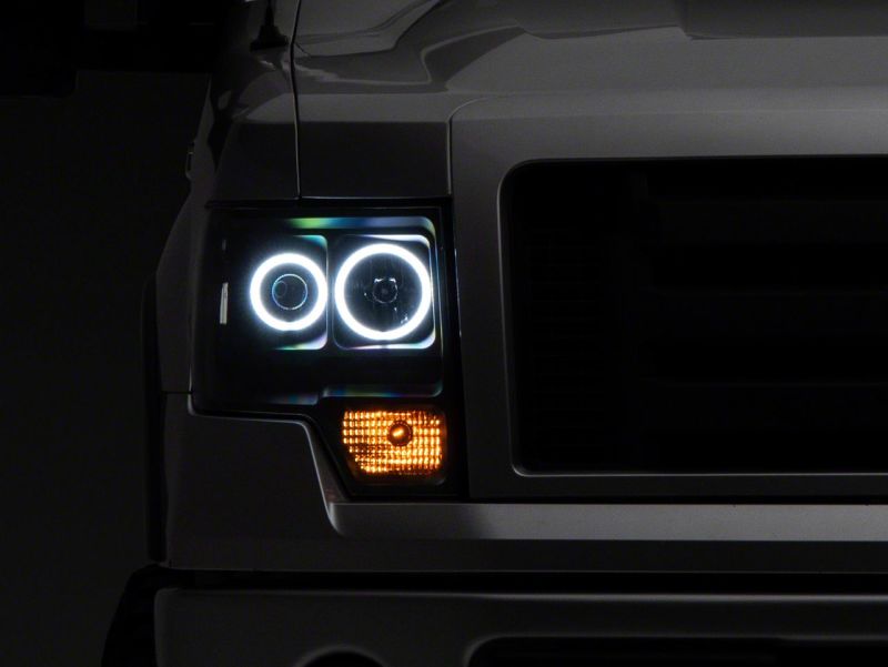 Photo - Close Up