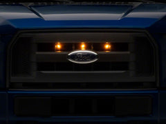 Photo - Close Up