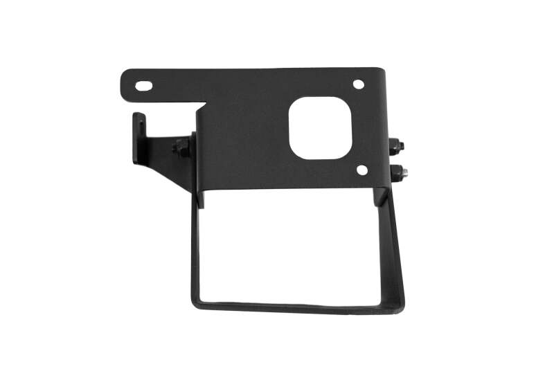 Photo - Close Up