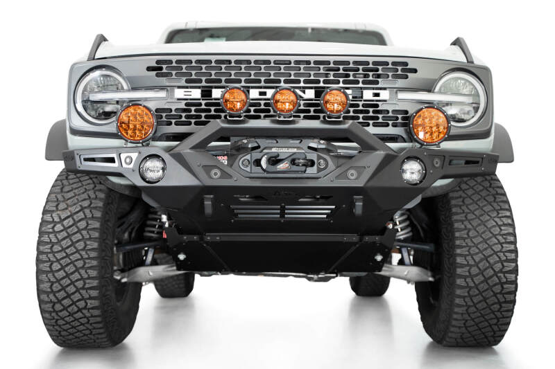 Photo - Close Up