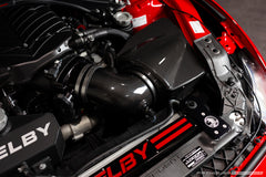 Whipple carbon fiber intake detail