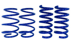 Steeda Mustang GT Drag Springs Linear