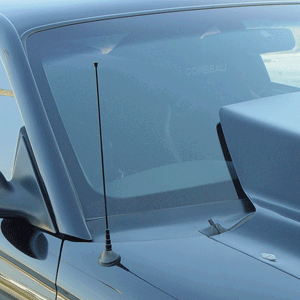 Billet Shorty Antenna 14" Black (fits 79-09 Ford Mustang) UPR
