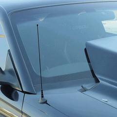Billet Shorty Antenna 14" Black (fits 79-09 Ford Mustang) UPR