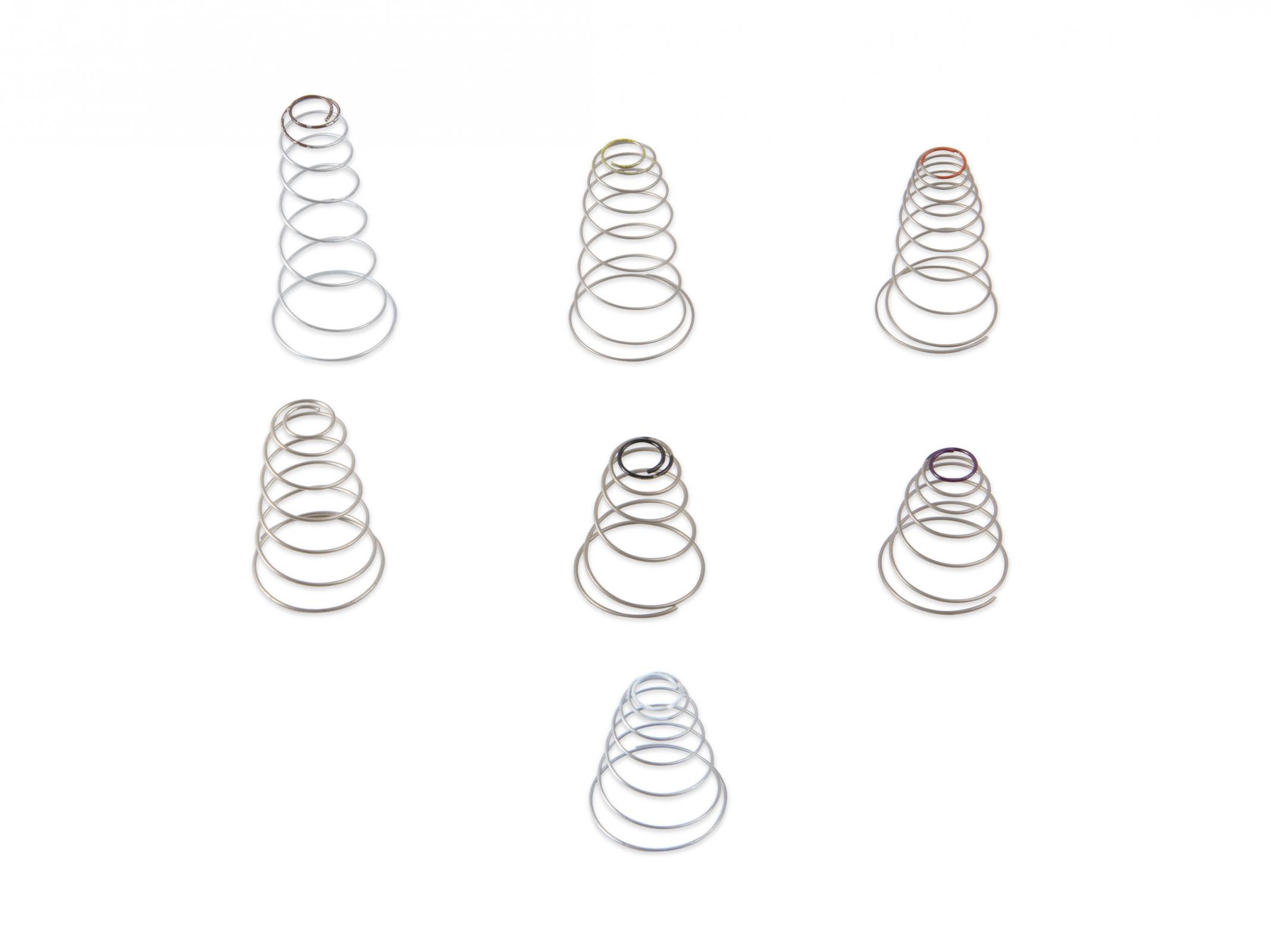 Secondary Diaphragm Spring Kit Holley