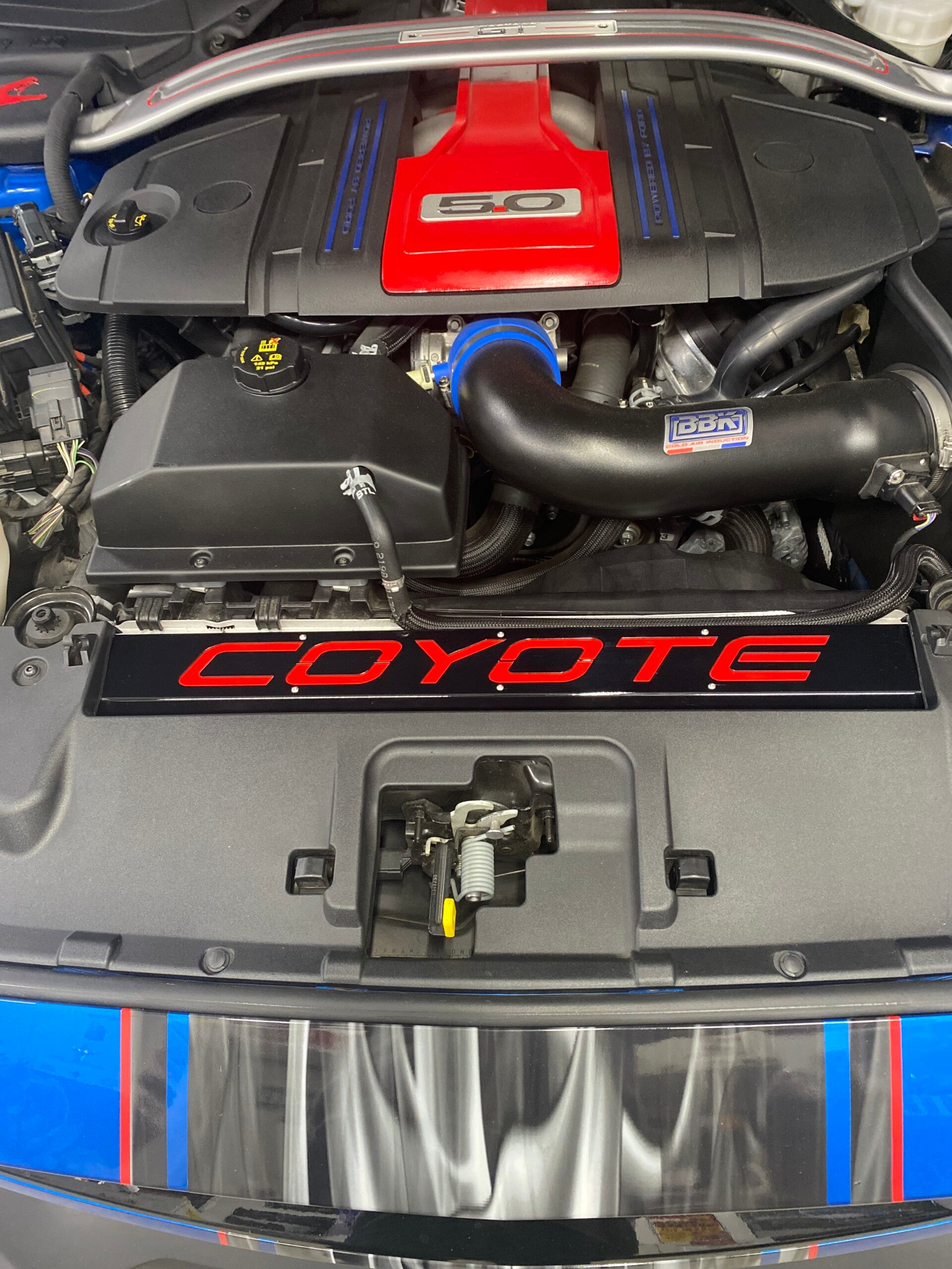 S550 Radiator Plate - COYOTE