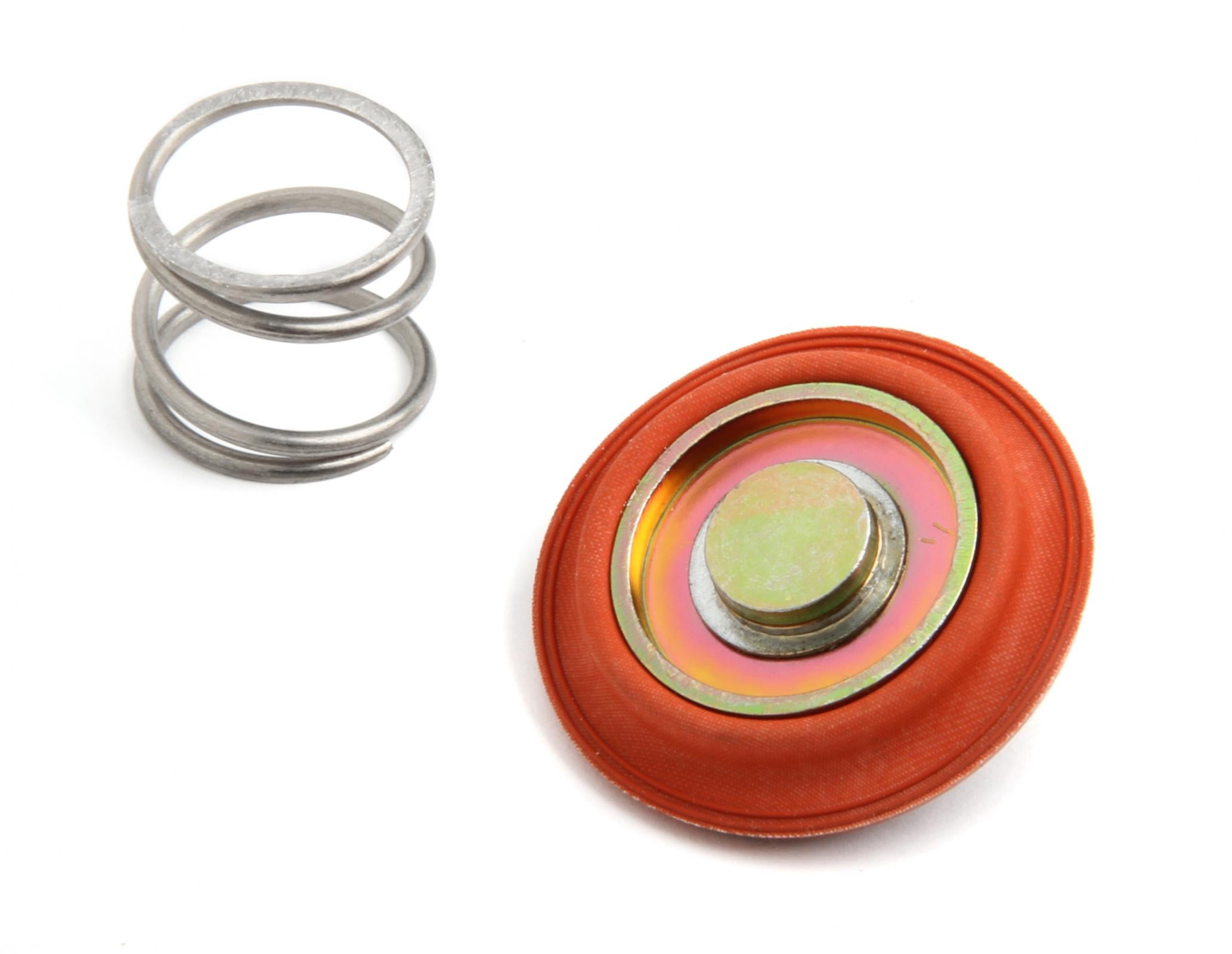 Regulator Rebuild Kit Fits 12-841, 12-842, 12-881, and 12-887 Fuel Pressure Regulators Holley