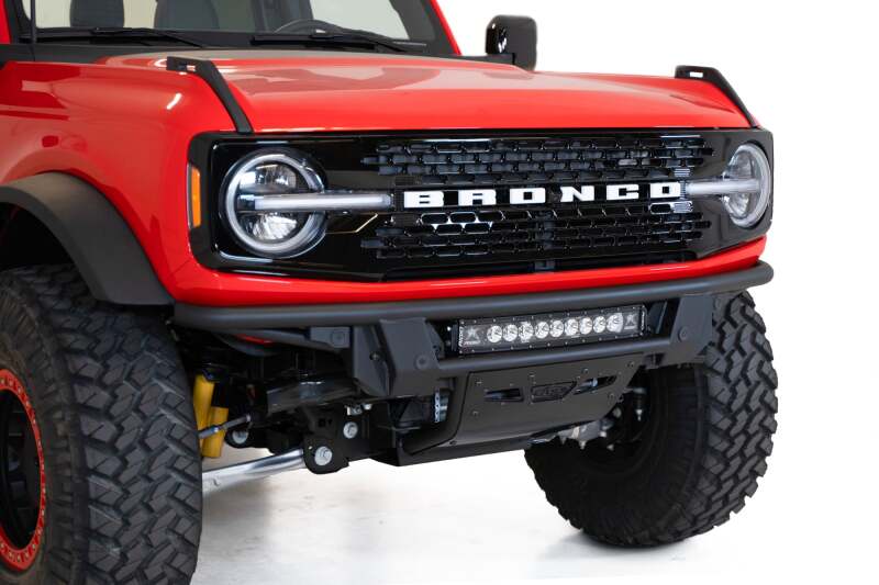 Photo - Close Up