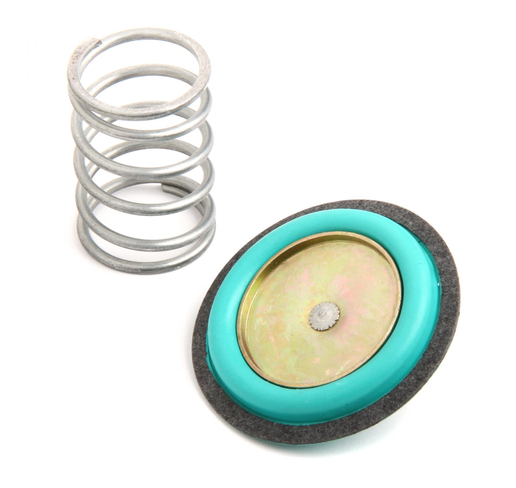 Regulator Rebuild Kit Fits 12-843 Fuel Pressure Regulators Holley