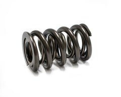 BTR Valve Spring Set .800 Lift