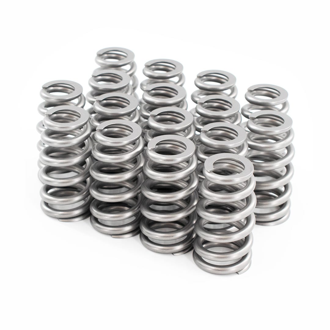BTR 1515 Valve Spring Set - Product Photo