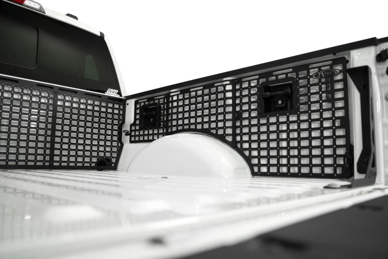 Photo - Close Up