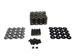 BTR SK427 SPRING KIT - SOLID ROLLER LSx - SK427/500