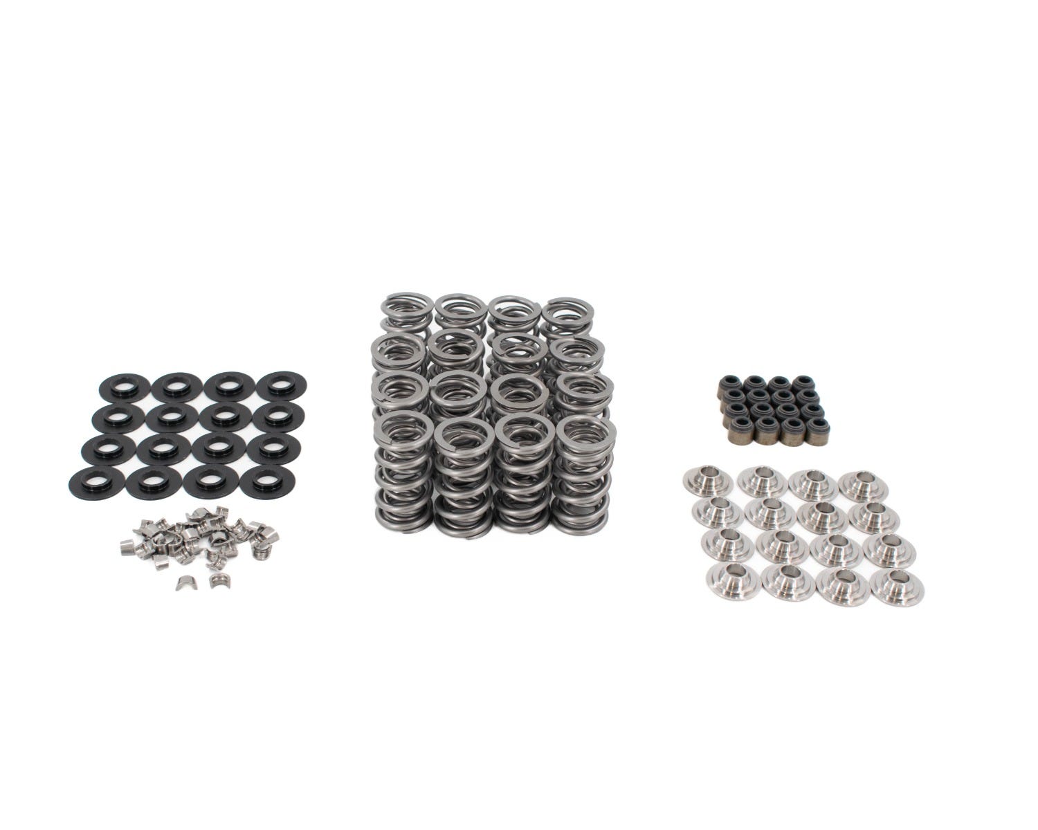 BTR LS9 .685" LIFT VALVE SPRING KIT